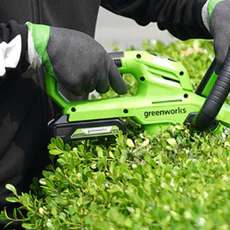 Potenza Verde per il Tuo Giardino